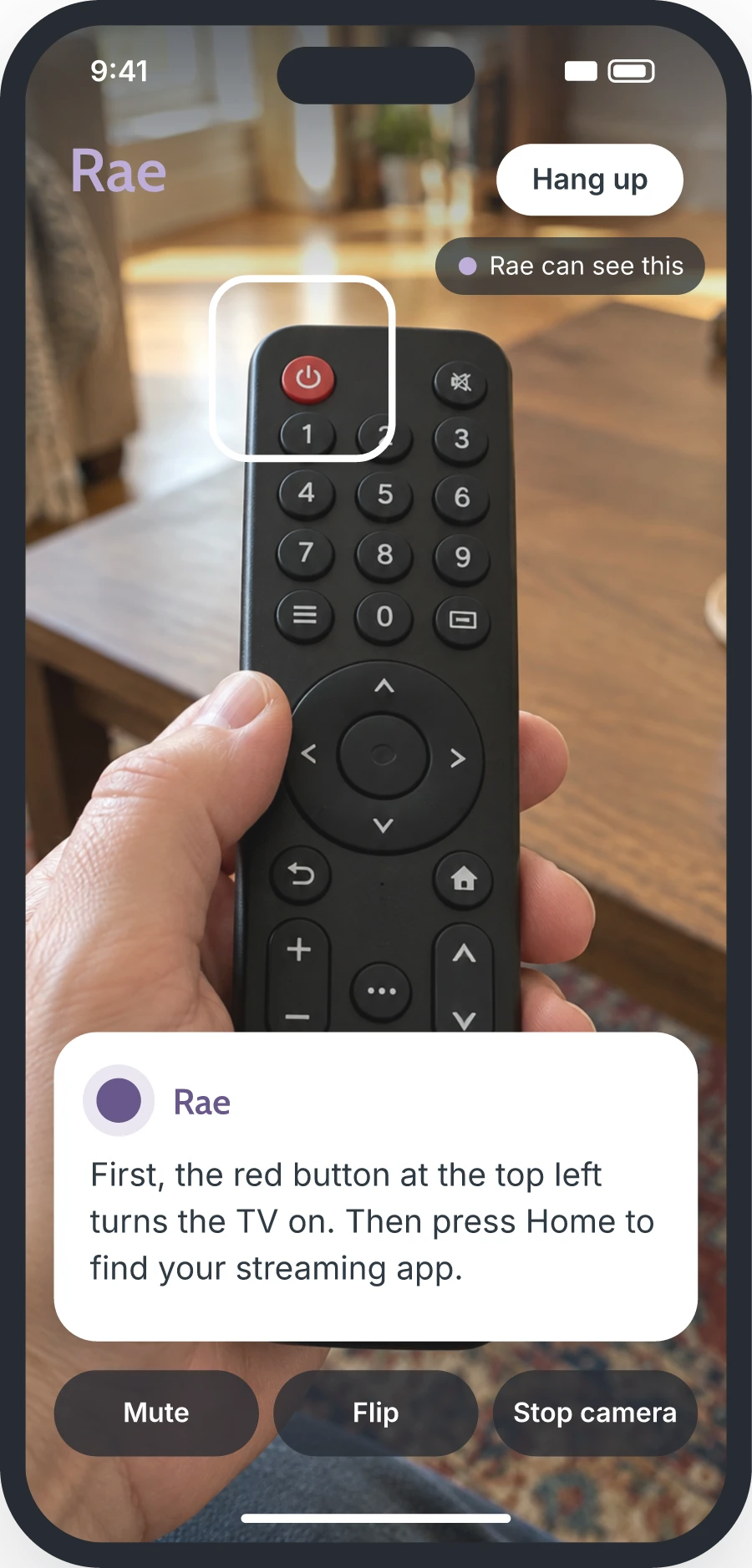 Show Rae a remote control using your camera.